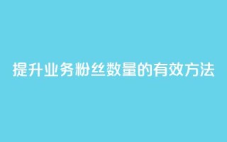 提升dy业务粉丝数量的有效方法