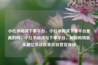 小红书阅读下单平台，小红书阅读下单平台是真的吗，小红书阅读与下单平台，解锁购物新乐趣亿乐社区低价自营货源站