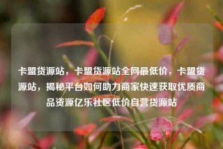 卡盟货源站，卡盟货源站全网最低价，卡盟货源站，揭秘平台如何助力商家快速获取优质商品资源亿乐社区低价自营货源站