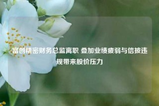 富创精密财务总监离职 叠加业绩疲弱与信披违规带来股价压力