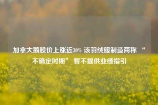 加拿大鹅股价上涨近30% 该羽绒服制造商称 “不确定时期” 暂不提供业绩指引