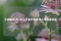 汇森股份5月19日上午盘中停牌 待公布内幕消息