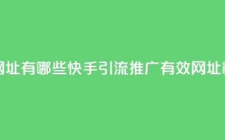 快手推广引流网址有哪些 - 快手引流推广有效网址精选推荐！