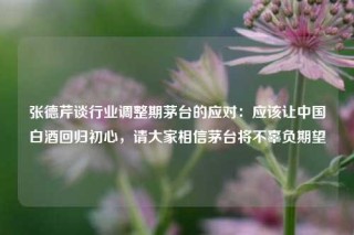 张德芹谈行业调整期茅台的应对：应该让中国白酒回归初心，请大家相信茅台将不辜负期望