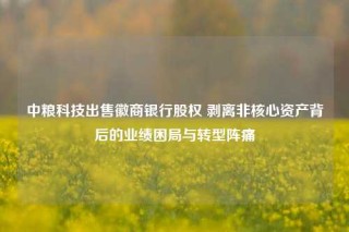 中粮科技出售徽商银行股权 剥离非核心资产背后的业绩困局与转型阵痛