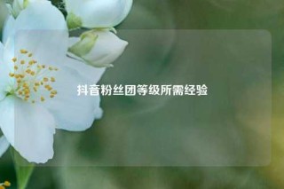抖音粉丝团等级所需经验