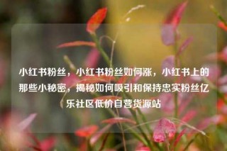 小红书粉丝，小红书粉丝如何涨，小红书上的那些小秘密，揭秘如何吸引和保持忠实粉丝亿乐社区低价自营货源站