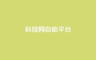 nap6科技网自助平台,抖音1元1000粉真的吗 - qq空间点赞自助 - 抖音快手业务网站