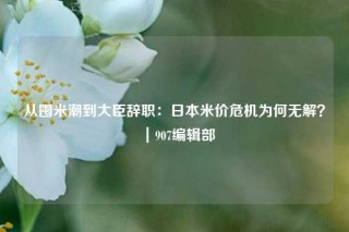 从囤米潮到大臣辞职：日本米价危机为何无解？｜907编辑部