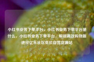 小红书业务下单平台，小红书业务下单平台是什么，小红书业务下单平台，解锁高效购物新途径亿乐社区低价自营货源站