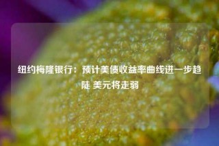 纽约梅隆银行：预计美债收益率曲线进一步趋陡 美元将走弱