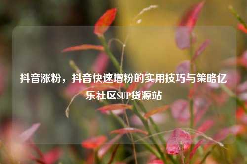 抖音涨粉，抖音快速增粉的实用技巧与策略亿乐社区SUP货源站  第1张