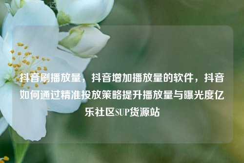 抖音刷播放量	，抖音增加播放量的软件，抖音如何通过精准投放策略提升播放量与曝光度亿乐社区SUP货源站  第1张