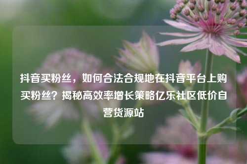 抖音买粉丝，如何合法合规地在抖音平台上购买粉丝？揭秘高效率增长策略亿乐社区低价自营货源站  第1张
