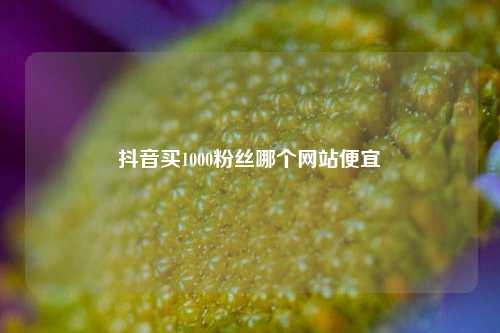 抖音买1000粉丝哪个网站便宜  第1张