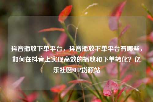 抖音播放下单平台	，抖音播放下单平台有哪些，如何在抖音上实现高效的播放和下单转化？亿乐社区SUP货源站  第1张
