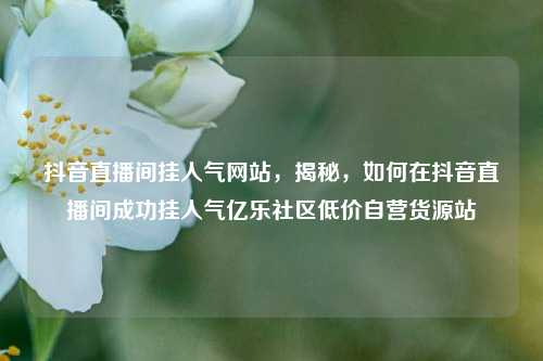 抖音直播间挂人气网站，揭秘，如何在抖音直播间成功挂人气亿乐社区低价自营货源站  第1张