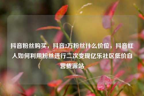 抖音粉丝购买，抖音2万粉丝什么价位，抖音红人如何利用粉丝进行二次变现亿乐社区低价自营货源站  第1张