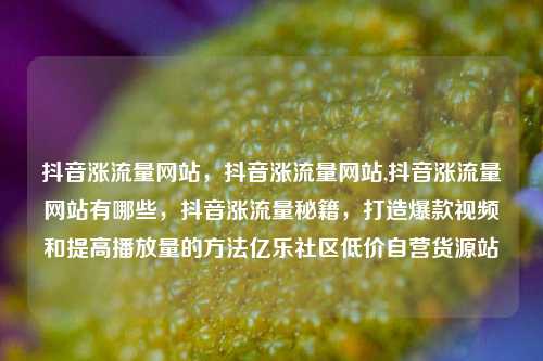 抖音涨流量网站，抖音涨流量网站,抖音涨流量网站有哪些	，抖音涨流量秘籍，打造爆款视频和提高播放量的方法亿乐社区低价自营货源站  第1张