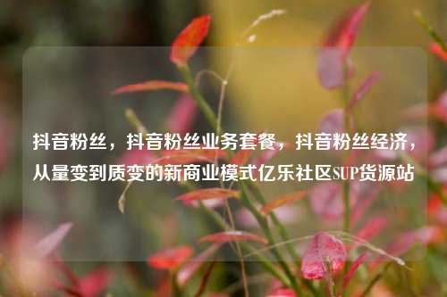 抖音粉丝，抖音粉丝业务套餐	，抖音粉丝经济，从量变到质变的新商业模式亿乐社区SUP货源站  第1张