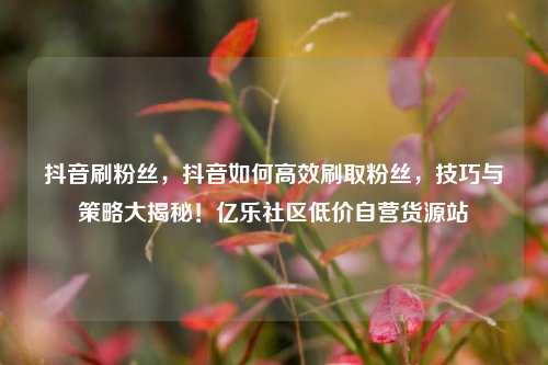 抖音刷粉丝	，抖音如何高效刷取粉丝，技巧与策略大揭秘！亿乐社区低价自营货源站  第1张