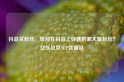 抖音买粉丝，如何在抖音上快速积累大量粉丝？亿乐社区SUP货源站  第1张