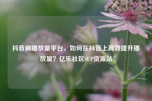 抖音刷播放量平台，如何在抖音上高效提升播放量？亿乐社区SUP货源站  第1张