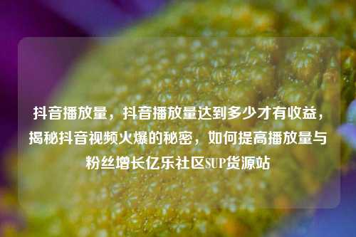 抖音播放量，抖音播放量达到多少才有收益，揭秘抖音视频火爆的秘密，如何提高播放量与粉丝增长亿乐社区SUP货源站  第1张