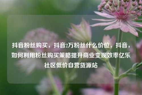 抖音粉丝购买，抖音2万粉丝什么价位，抖音	，如何利用粉丝购买策略提升商业变现效率亿乐社区低价自营货源站  第1张