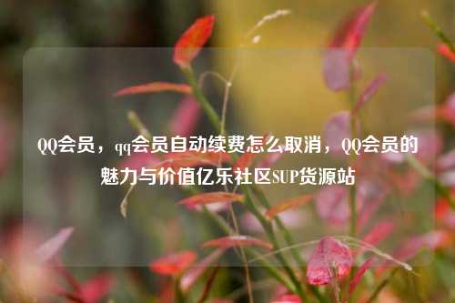 QQ会员，qq会员自动续费怎么取消，QQ会员的魅力与价值亿乐社区SUP货源站  第1张